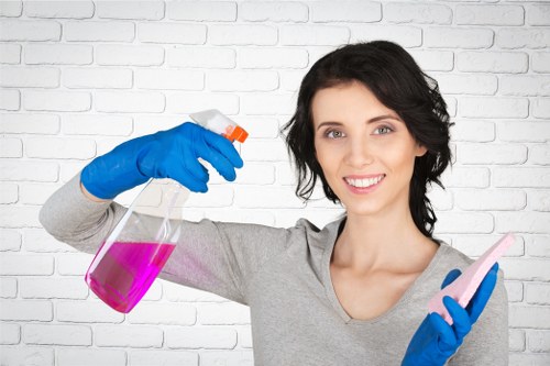 Using baking soda and enzyme cleaner for odour control